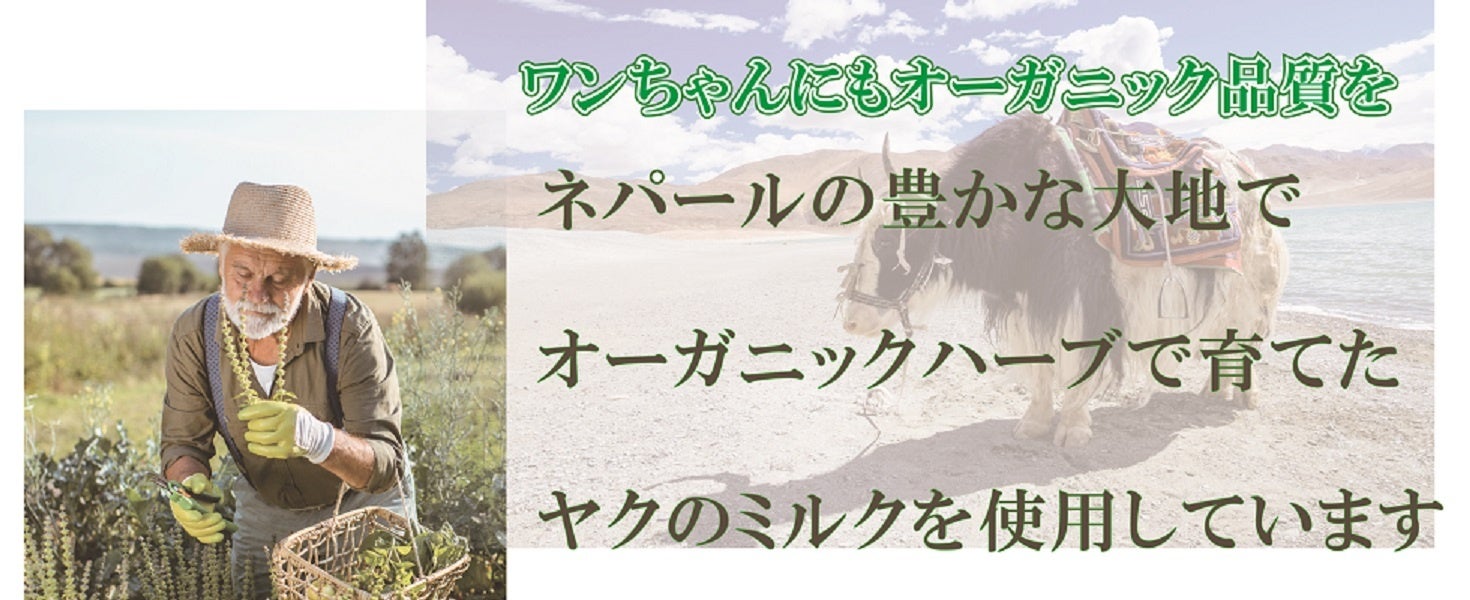 オーガニックハーブで育てたヤギのミルクを使用