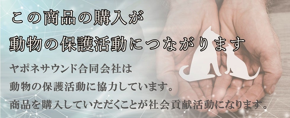 犬の保護活動への寄付を行っています