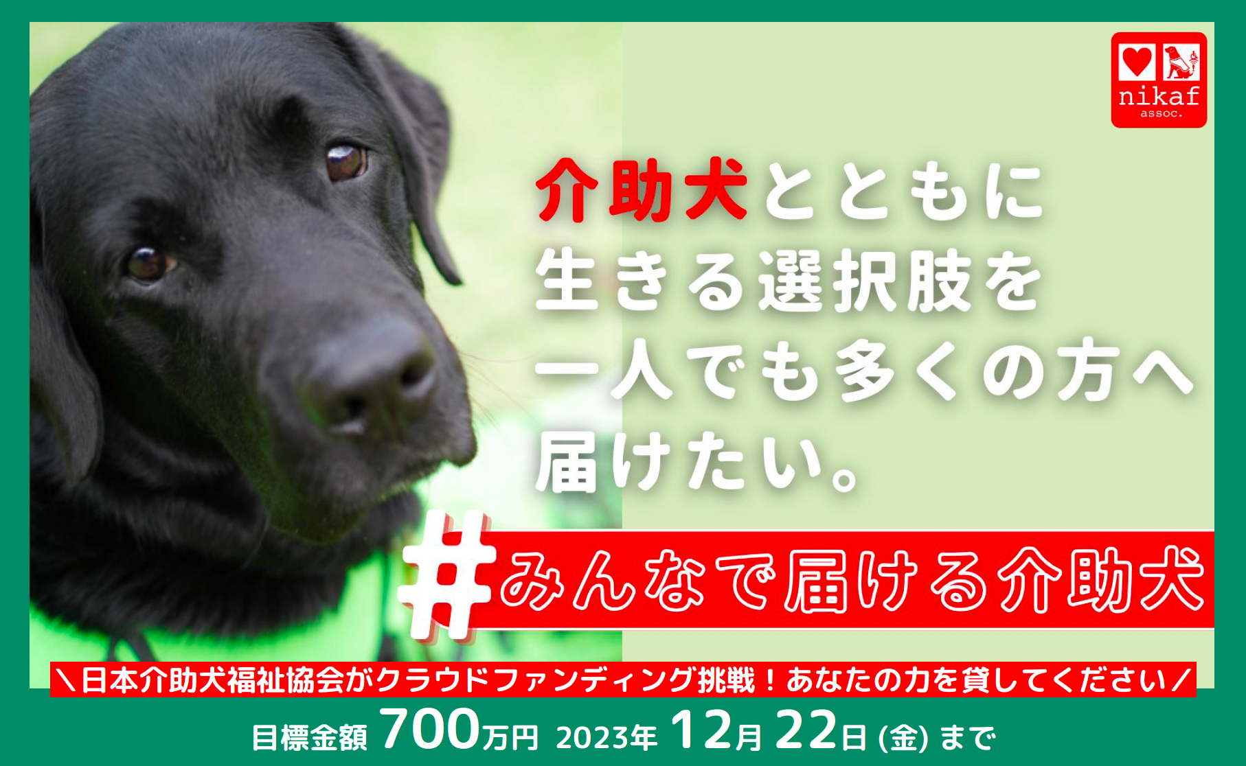 社団法人　日本犬保存会ブロンズ像です。34年前。とても貴重品！大幅値下げです。 社団法人 日本犬保存会ブロンズ像です。34年前。とても貴重品！大幅