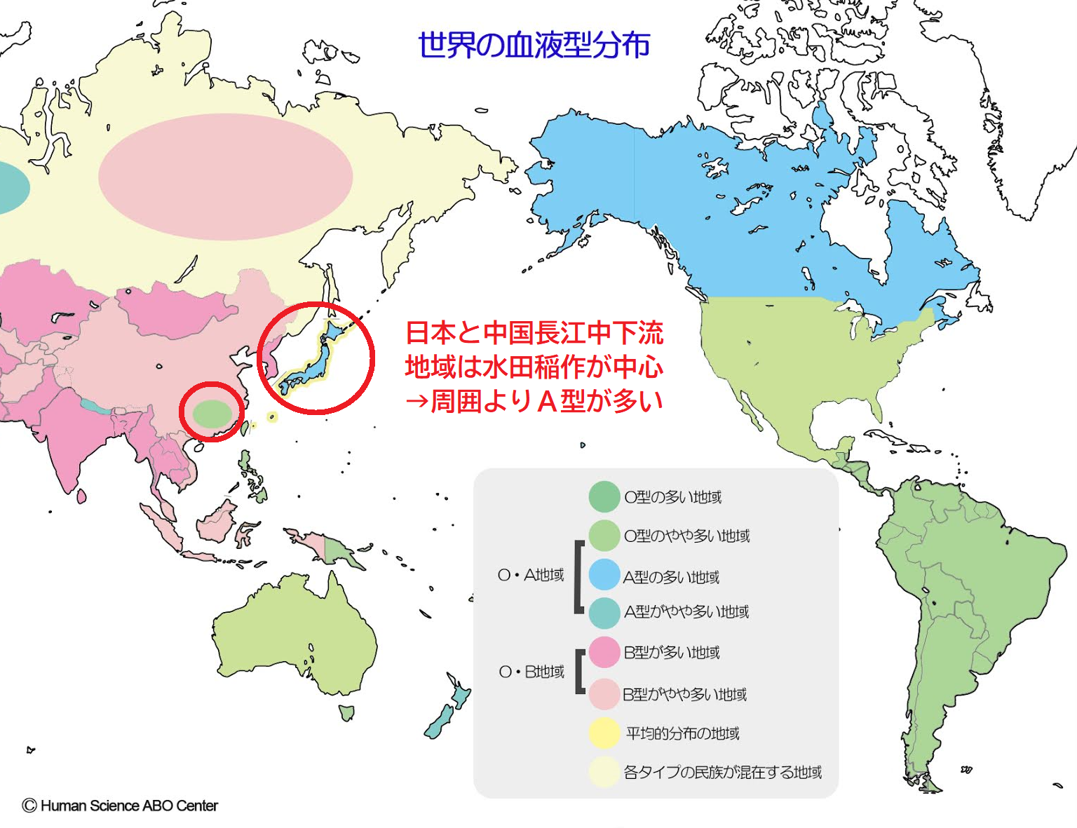 世界の血液型分布