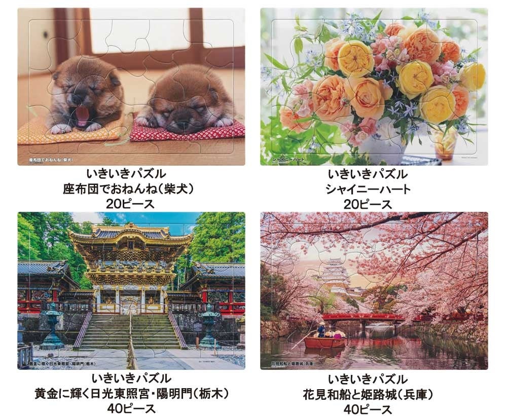 介護施設などのレクリエーションや運動機能回復の