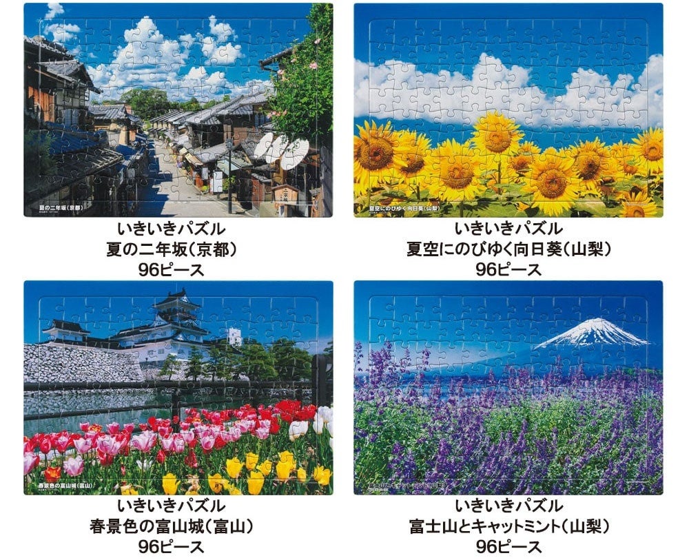 C1-左脳いきいきパズル C1-左脳いきいきパズル シニア世代85%以上の認知機能が維持