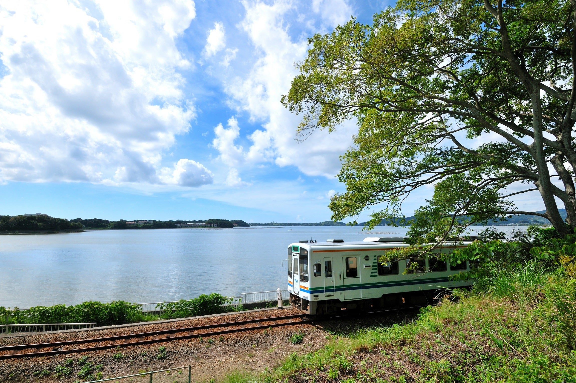 【鉄道ファン×読書好きに贈る！】天浜線一日フリーきっぷ付　読書ワーケーションプラン　～豊橋から天浜線へ、列車と本の旅～