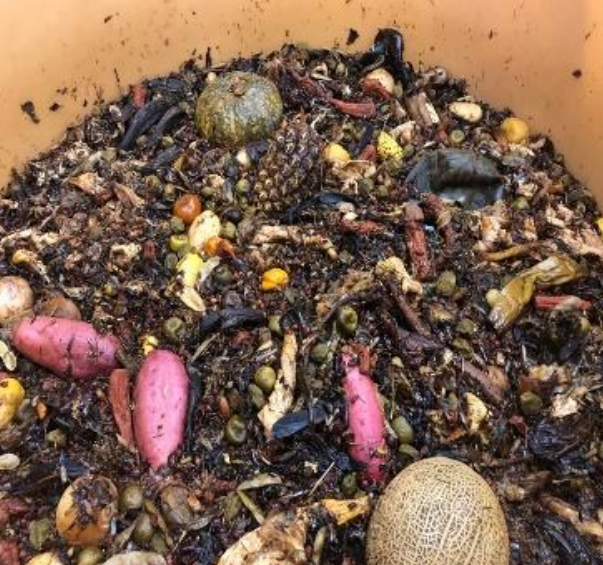 100種類以上の栄養素を発酵・熟成させている様子