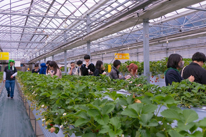 N高等学校・S高等学校・N中等部 令和5年度合同卒業式:ハリセンボン登場!岡山の魅力満載の卒業旅行ツアーも N高等学校・S高等学校・N中等部 令和5年度合同卒業式:ハリセンボン登場!岡山の魅力満載の卒業旅行ツアーも