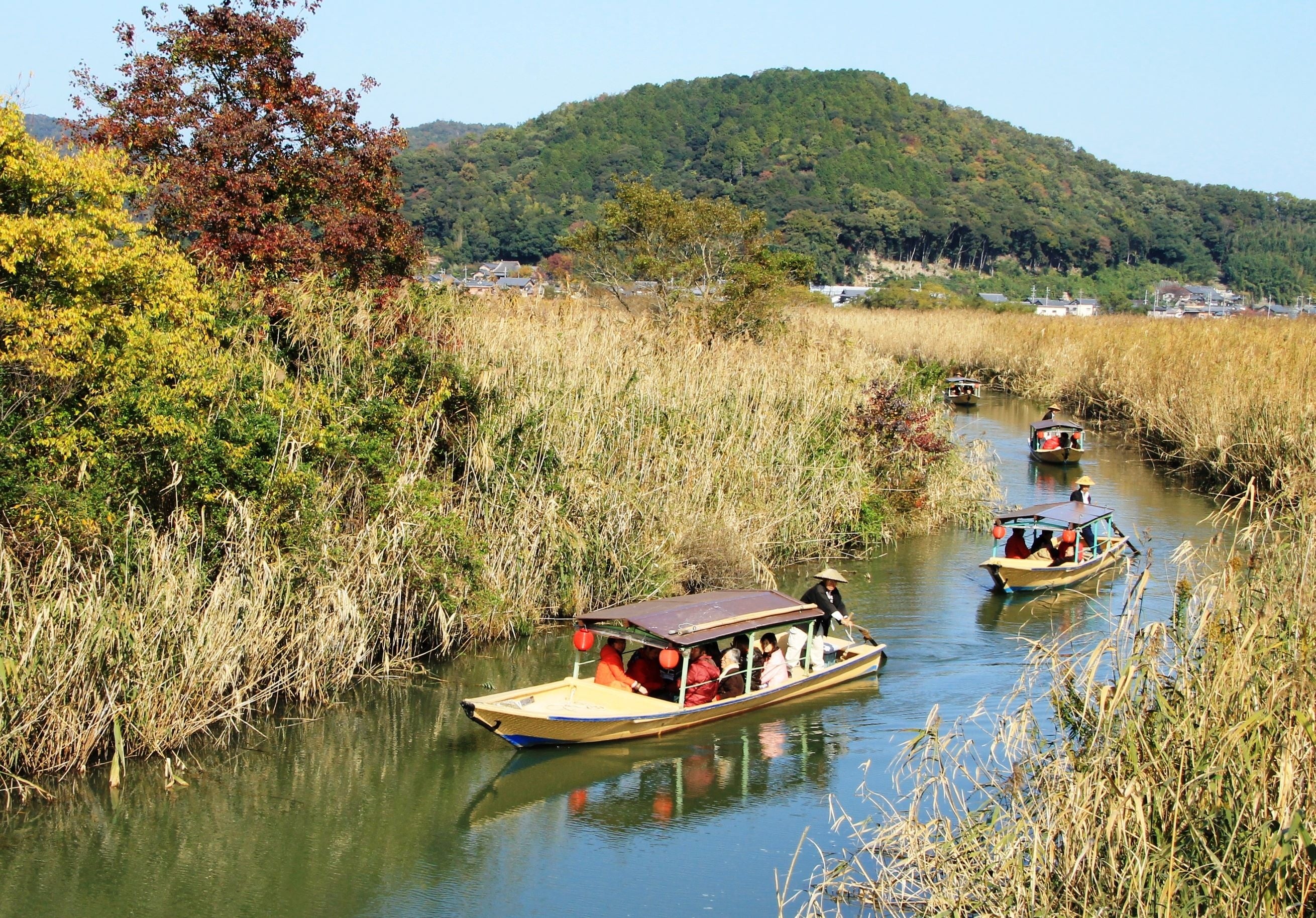 近江八幡水郷めぐり