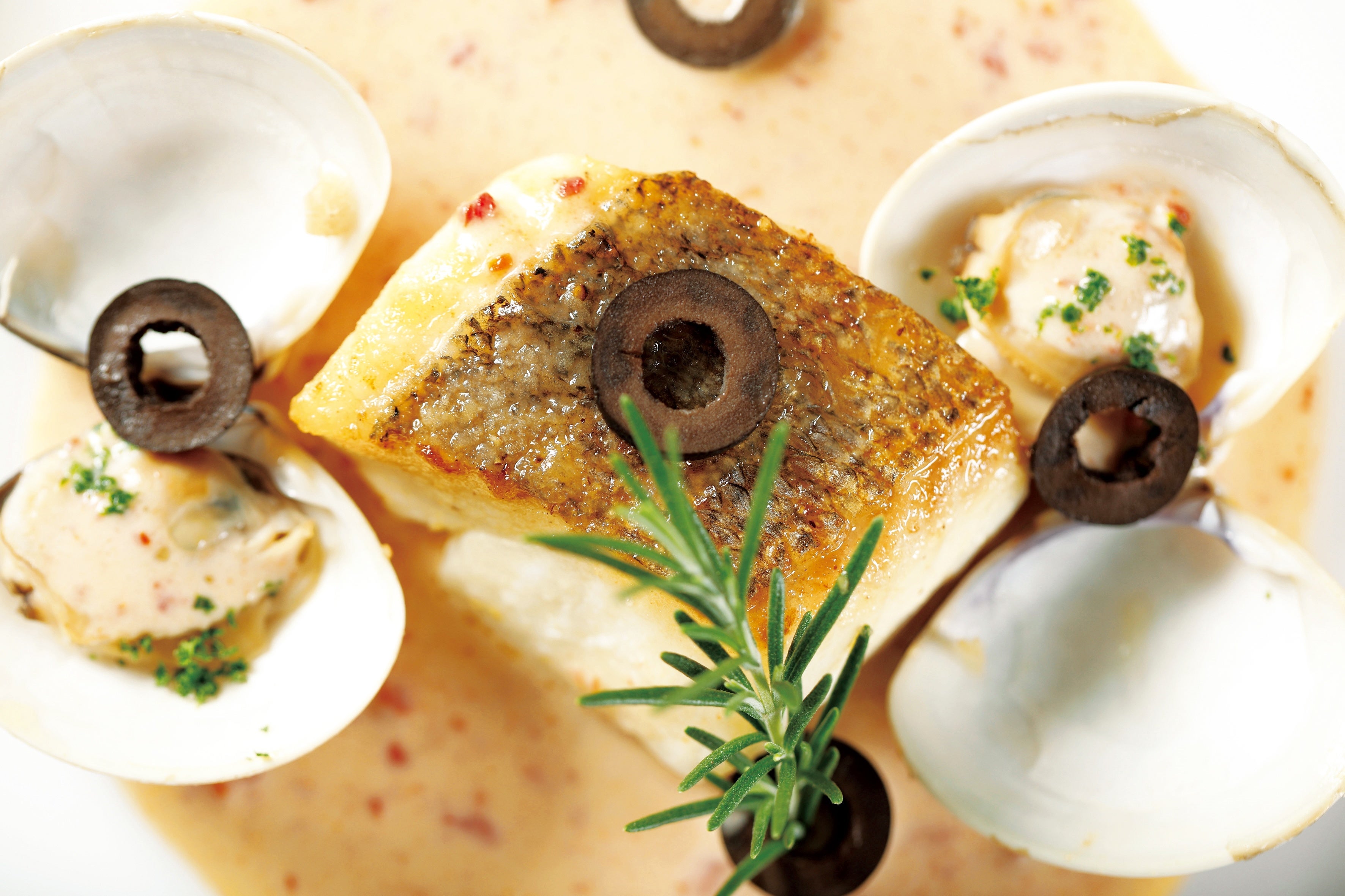 ～瀬戸内協奏曲～Concerto de Seto～