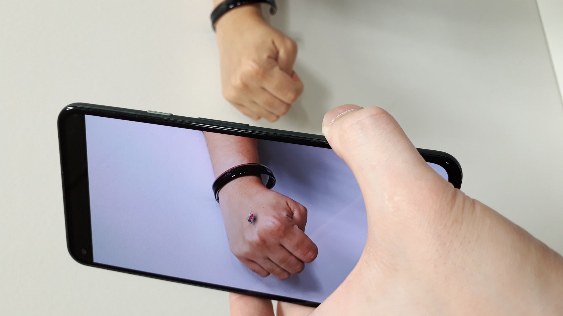 《ネッタイシマカ》つのだゆき