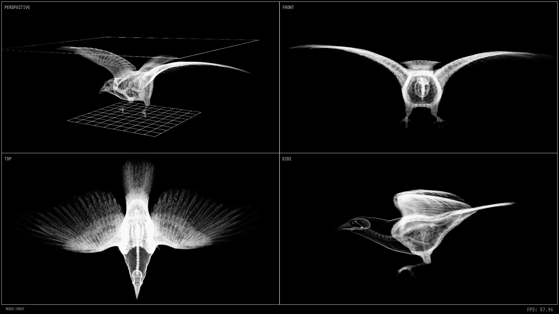 Visible01》本郷 真也