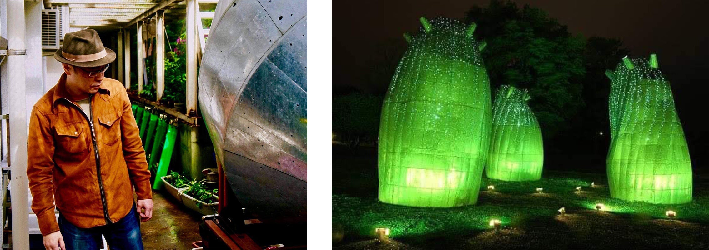 作品名：バオバブ　プランテーショ