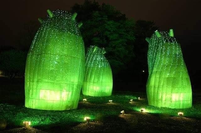 作品名：バオバブ プランテーション