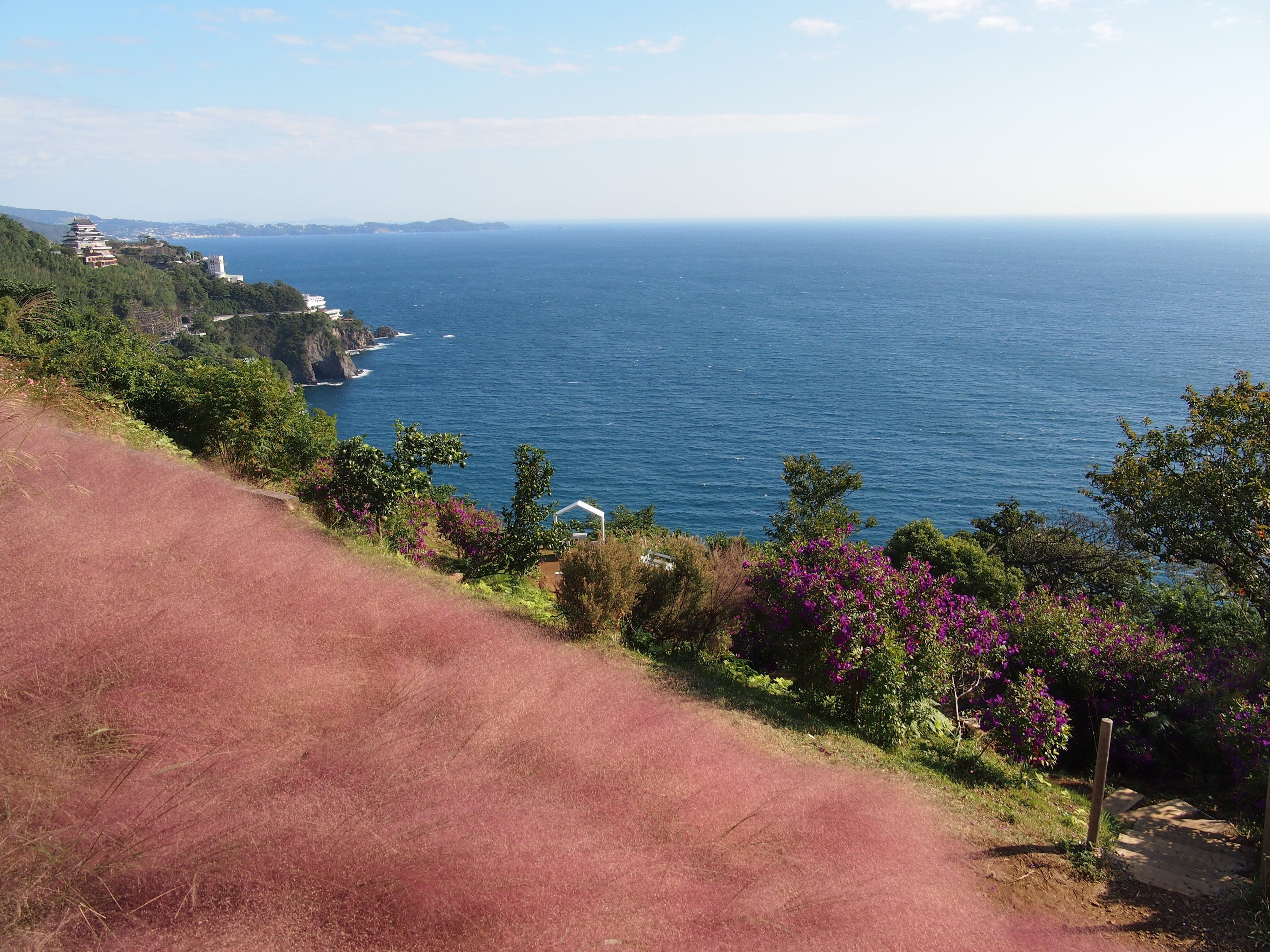 ACAO FORESTにて撮影