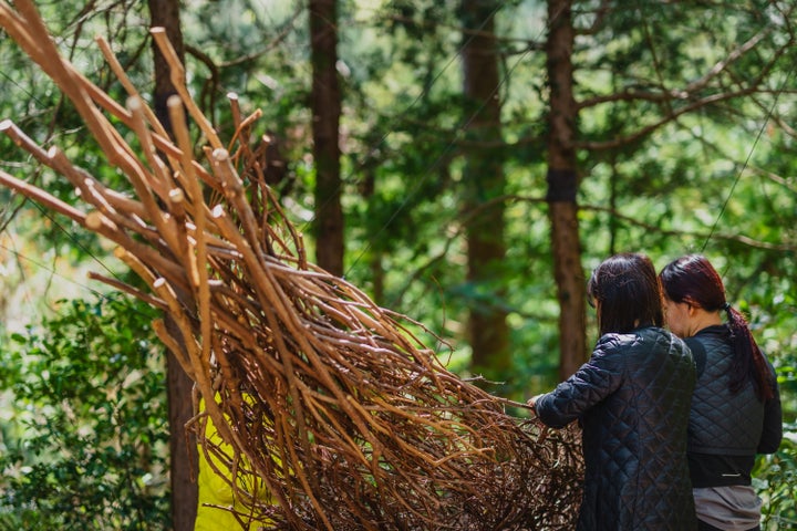 ACAO FOREST: 秋山美晴氏と市川平氏のアート作品展示！