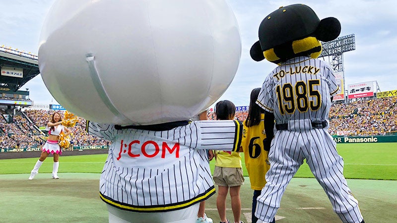 ※画像はイメージです