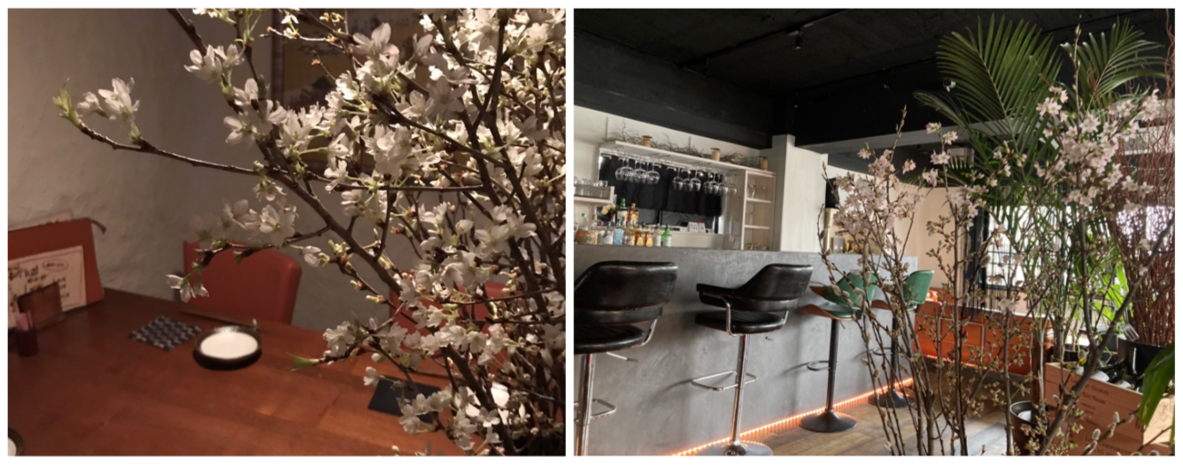 ＜左：十方 本店＞　＜右：JIPPO LOUNGE MISHUKU＞