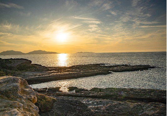農林水産物の魅力を全国へ。北九州市地域おこし協力隊募集! 農林水産物の魅力を全国へ。北九州市地域おこし協力隊募集!