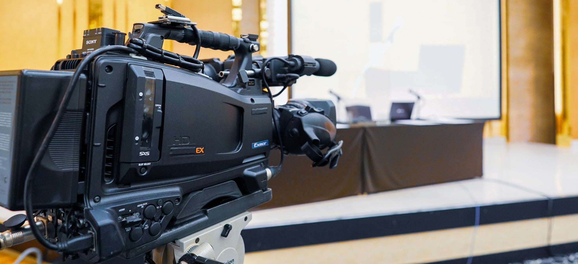 ＭＤＭ合同会社のライブ配信サービス MDM LIVE