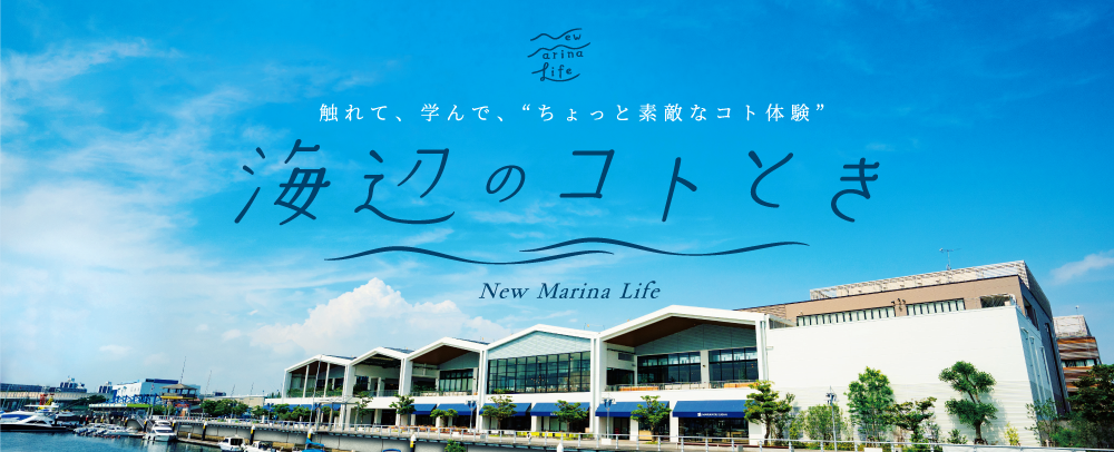 ※画像はイメージです。