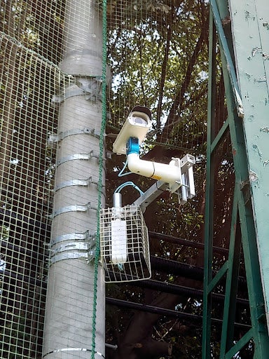 バックネット側カメラ