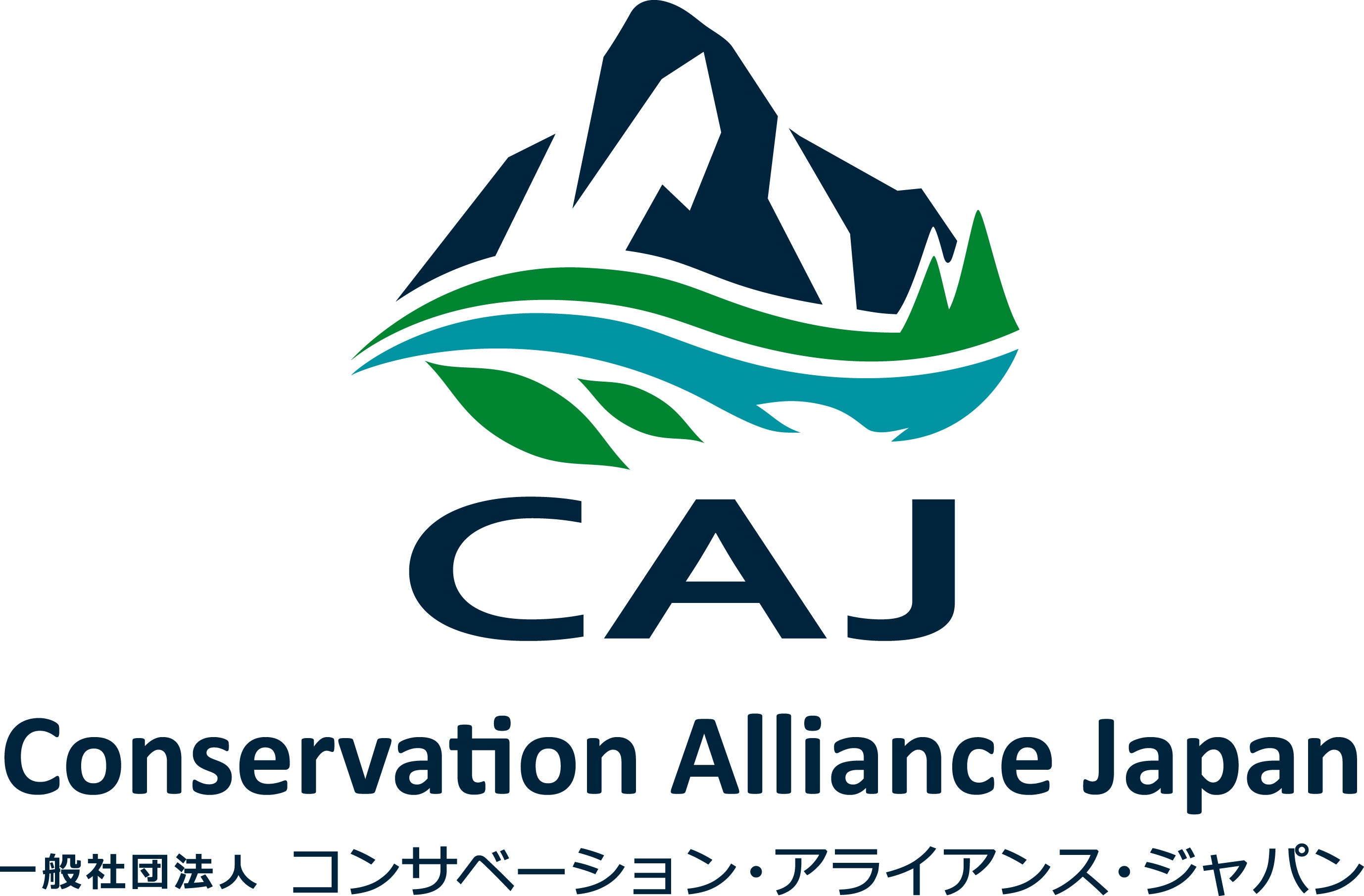 CAJ Logo