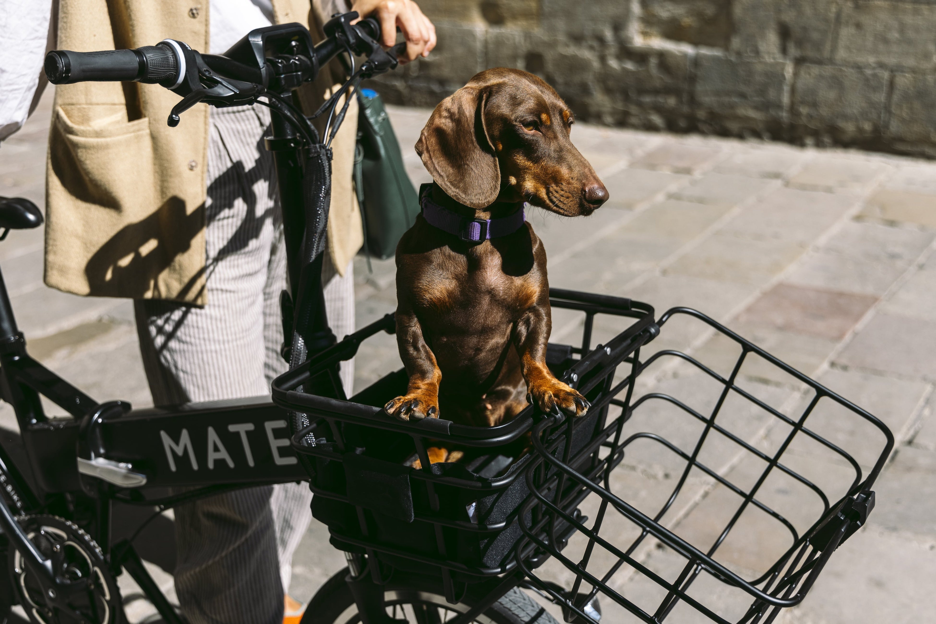 MATE.BIKE】ブランド初のフロントラックとバスケットを発売