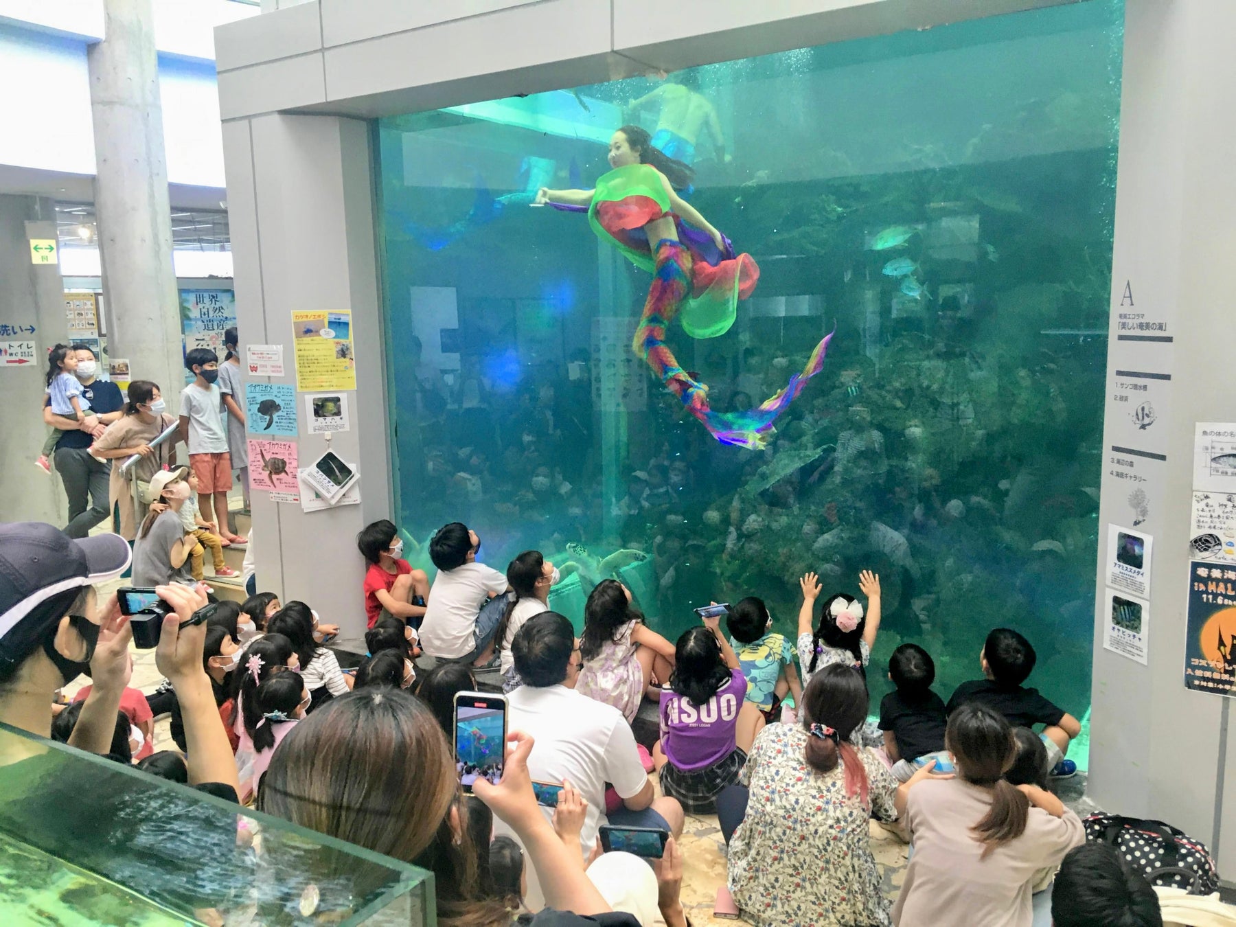 奄美大島 国内最大規模の マーメイドショー 2年連続開催決定 Oceanzのプレスリリース 奄美大島 国内最大規模の マーメイドショー 2年連続開催決定 Oceanzのプレスリリース