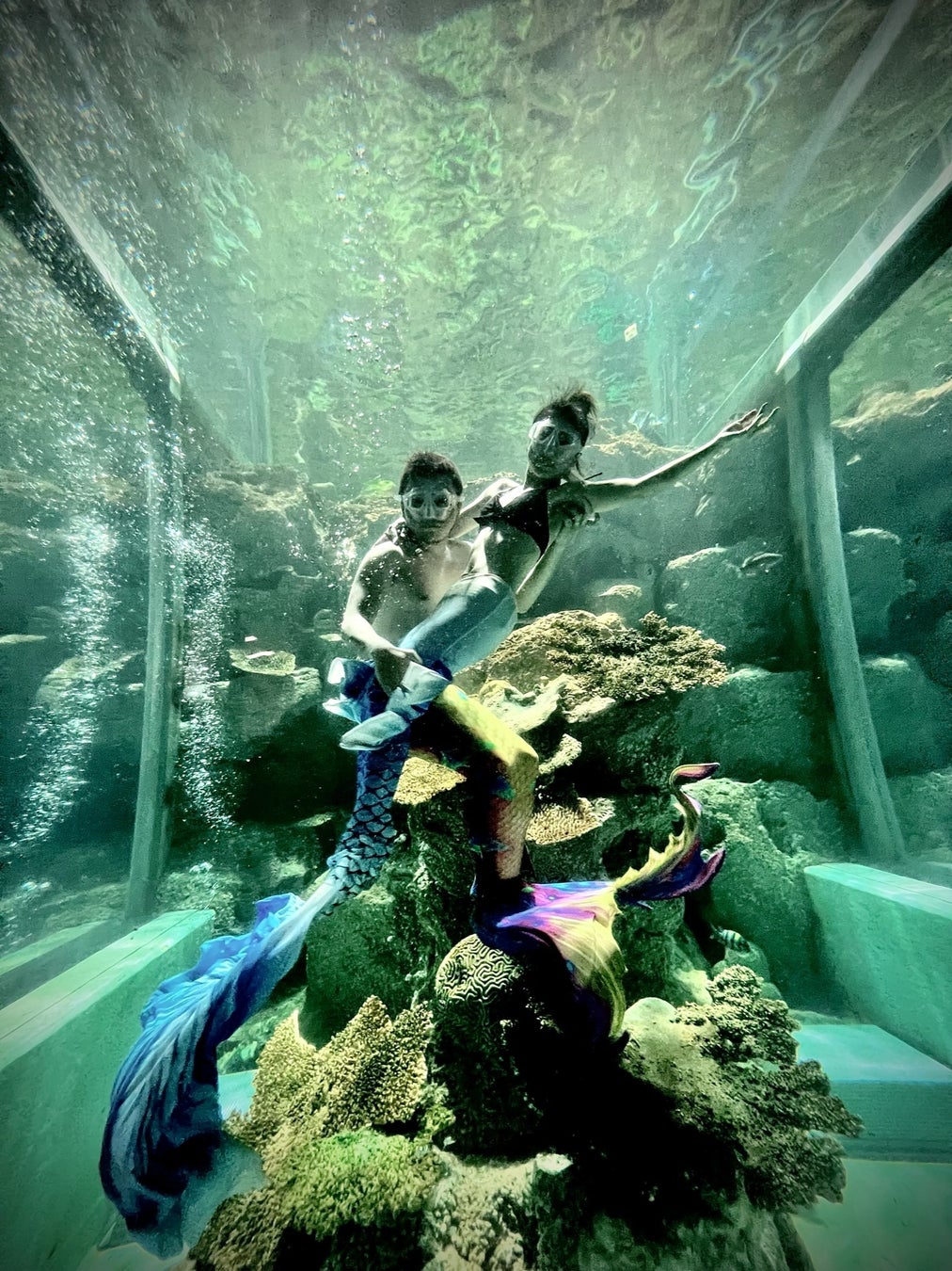 奄美大島 国内最大規模の マーメイドショー 2年連続開催決定 Oceanzのプレスリリース 奄美大島 国内最大規模の マーメイドショー 2年連続開催決定 Oceanzのプレスリリース