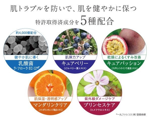 5つの特許成分