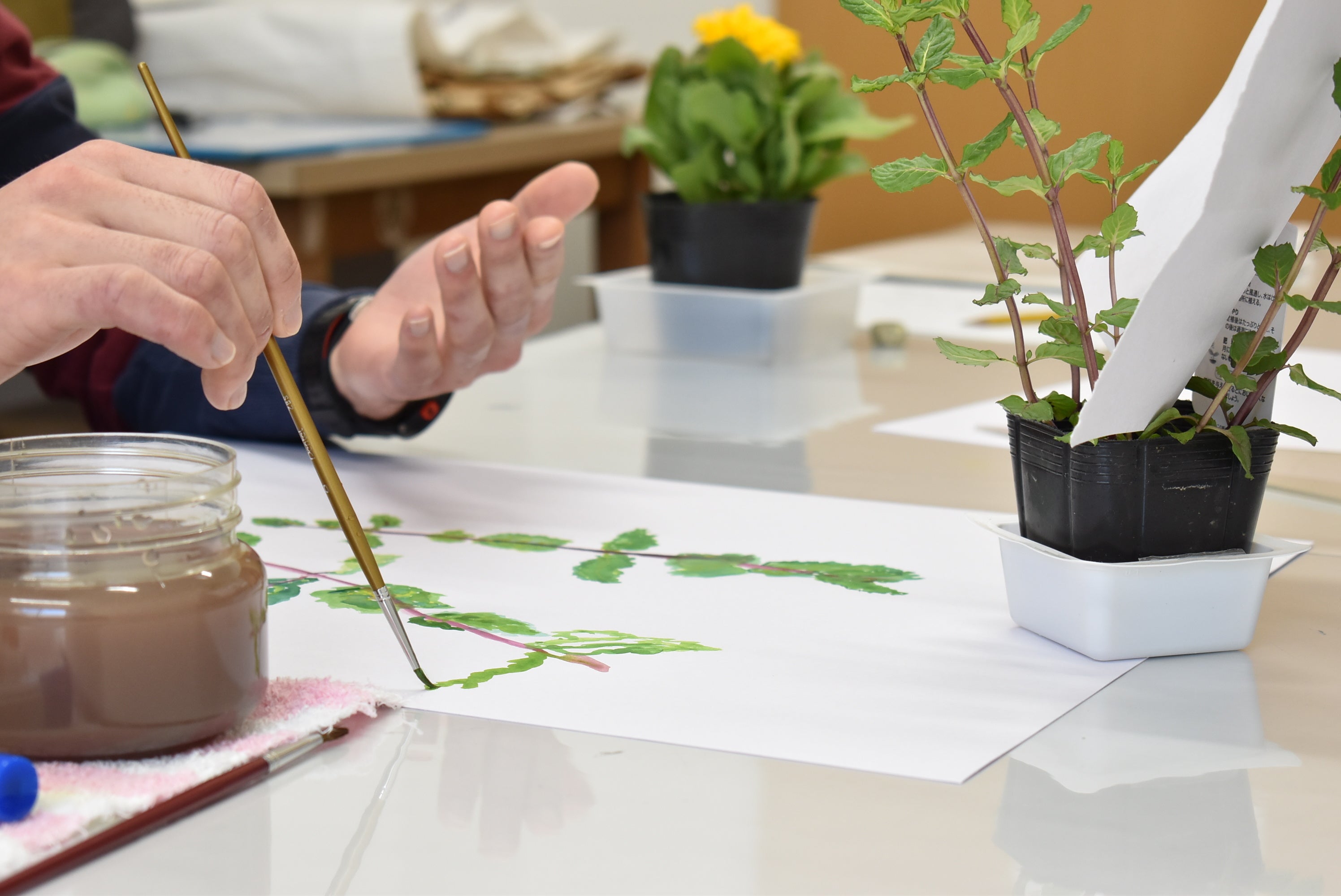 「キミコ式」という画法でのびのびと描かれています