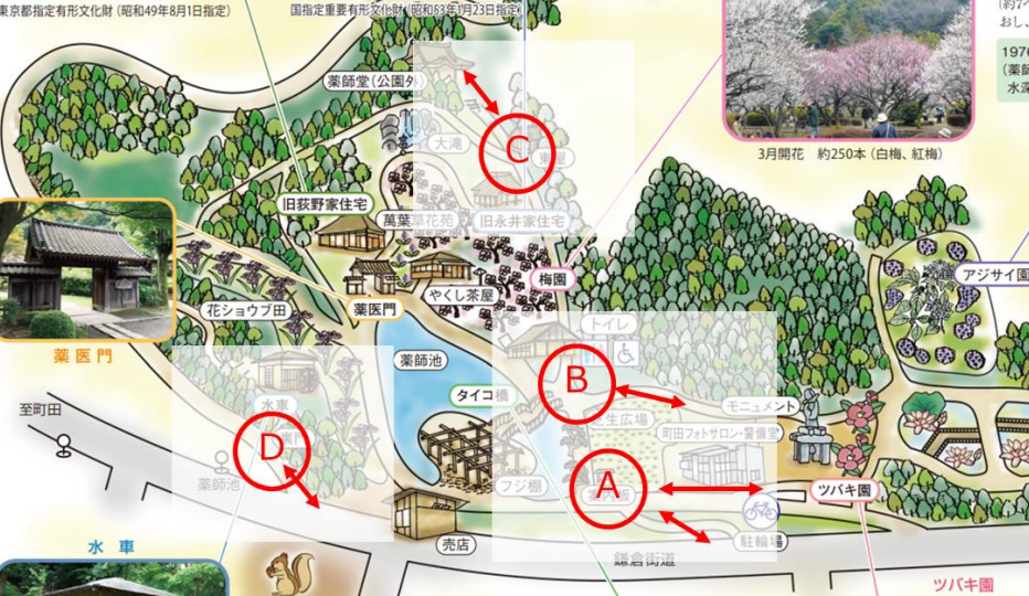 テラス導入の薬師池公園絵図