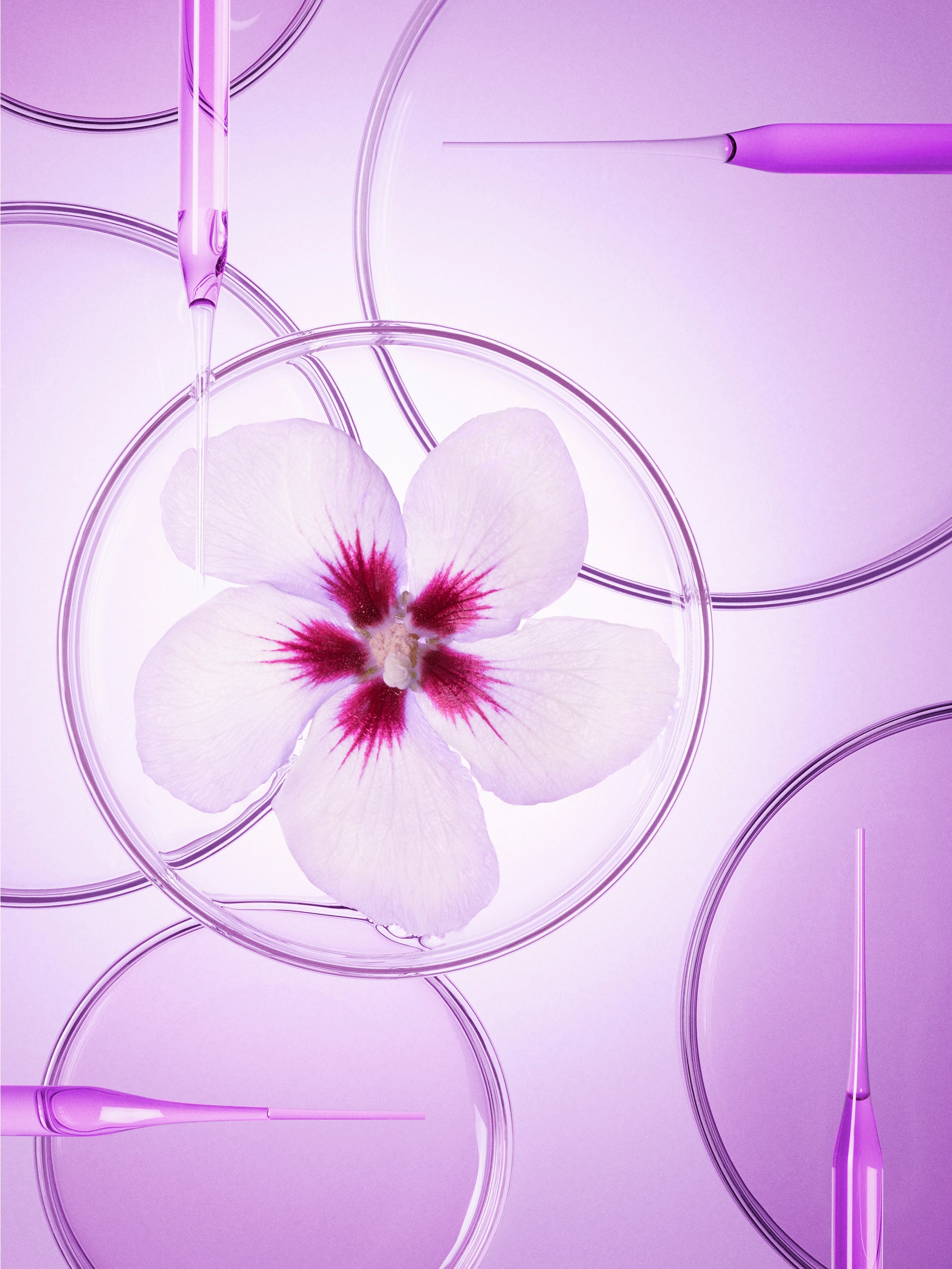 フィトプロコラジェン