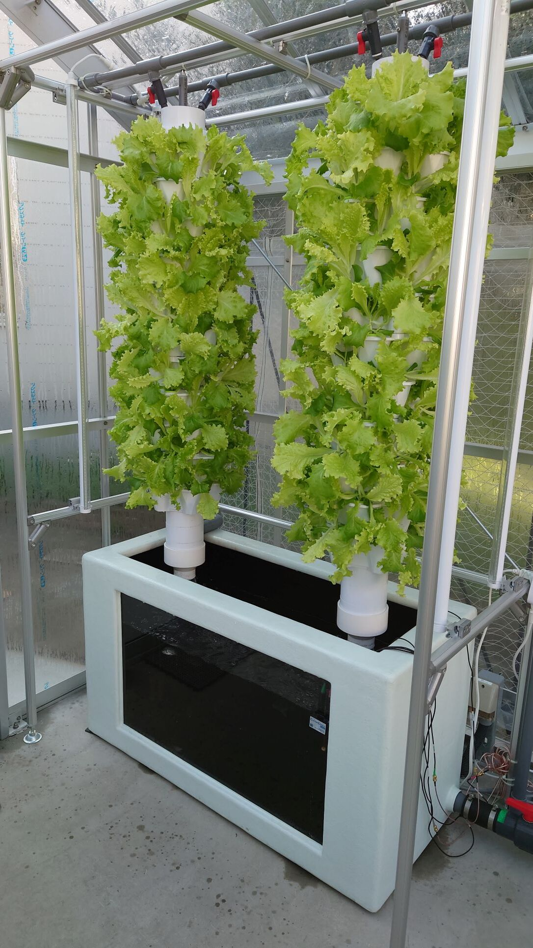 「Aqua Garden Lab」内観