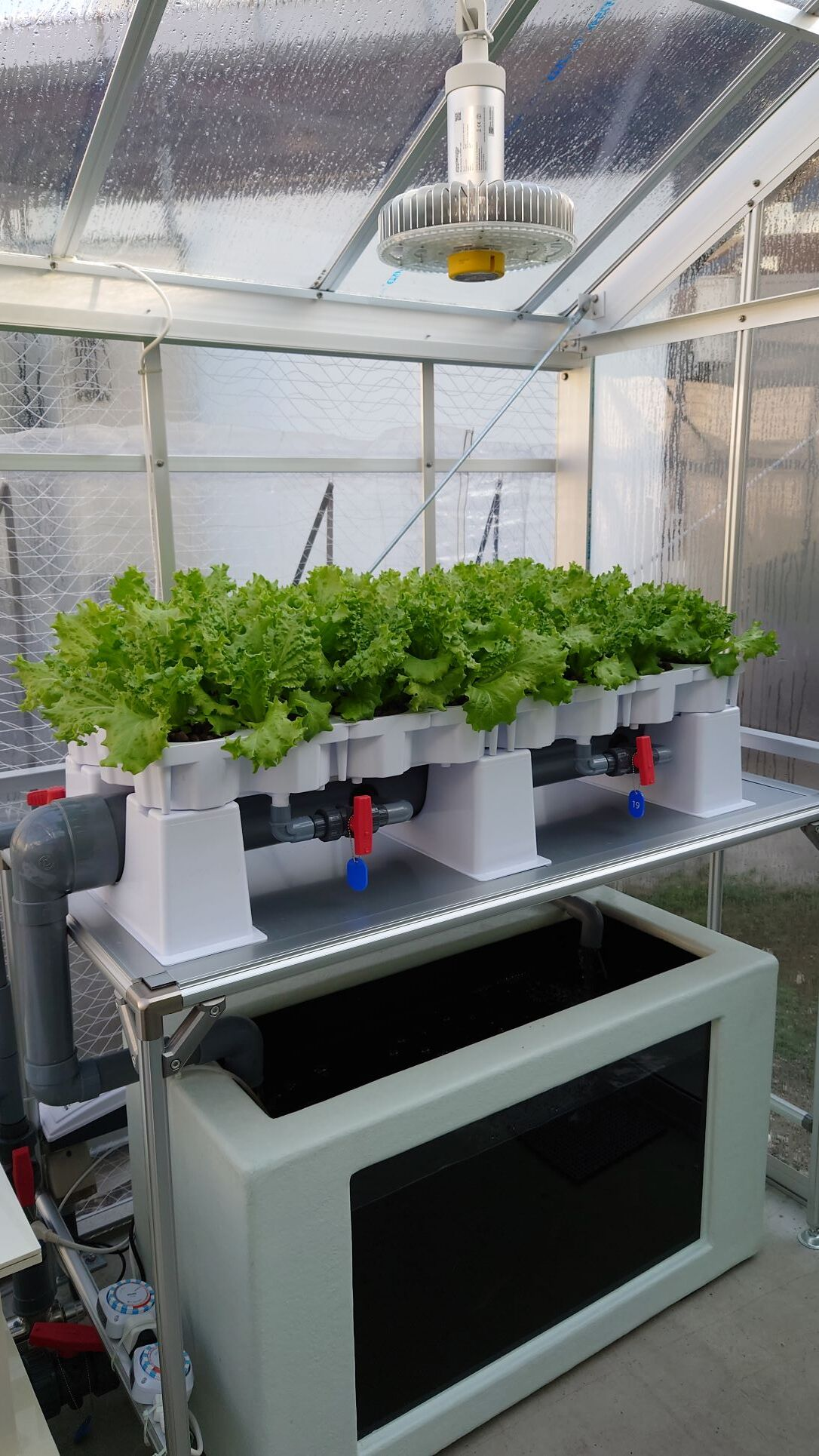 「Aqua Garden Lab」内観