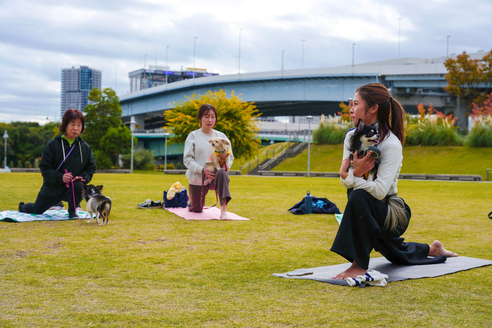 ミシュワン×LAVA「ワンダフルヨガ ～ in the park ～」開催レポート