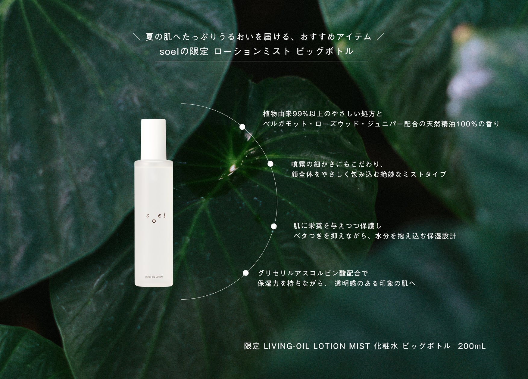 soel 】夏の肌へたっぷりうるおいを届ける「限定 LIVING-OIL LOTION soel 】夏の肌へたっぷりうるおいを届ける「限定 LIVING-OIL LOTION