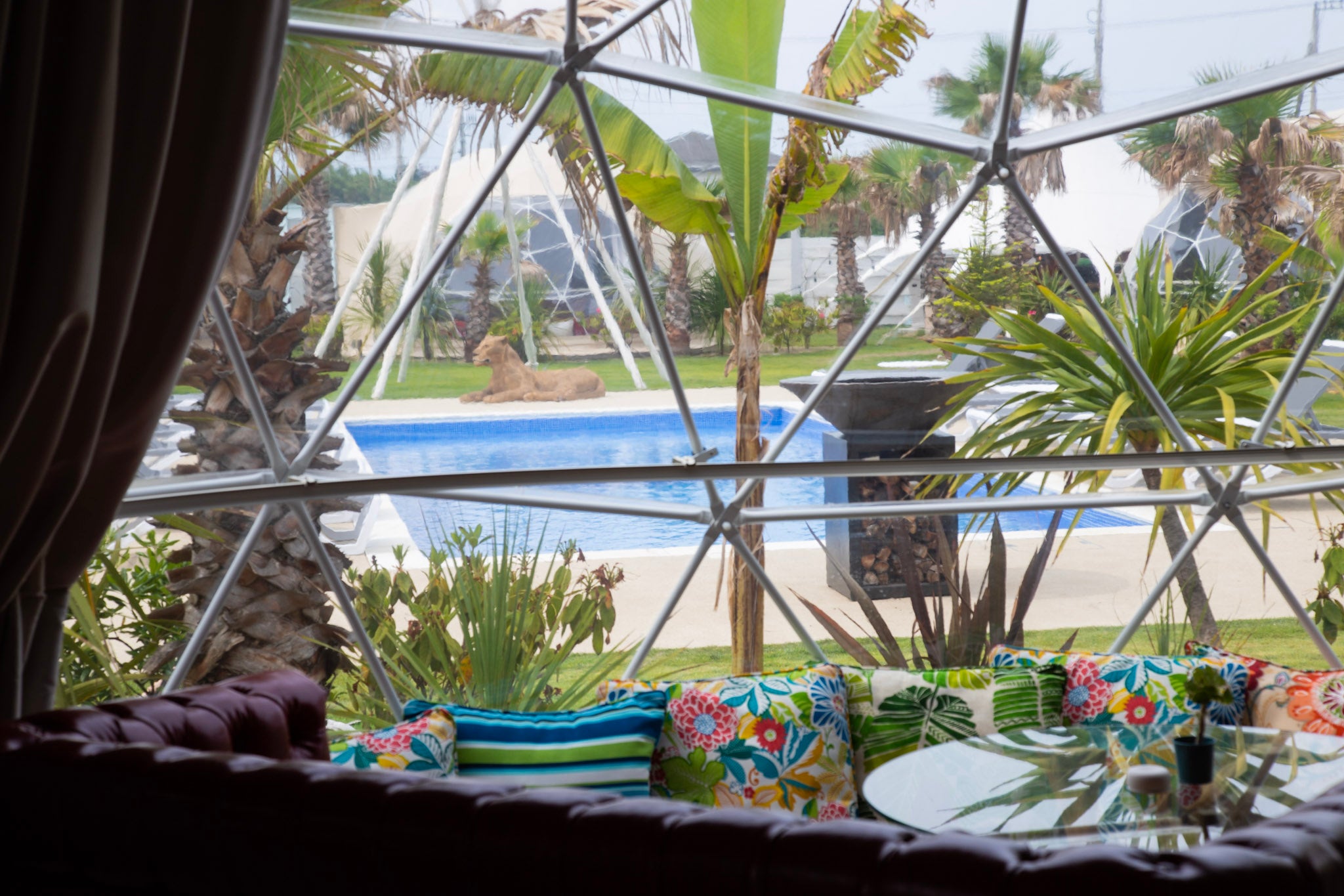 EAST COAST客室からのプールビュー