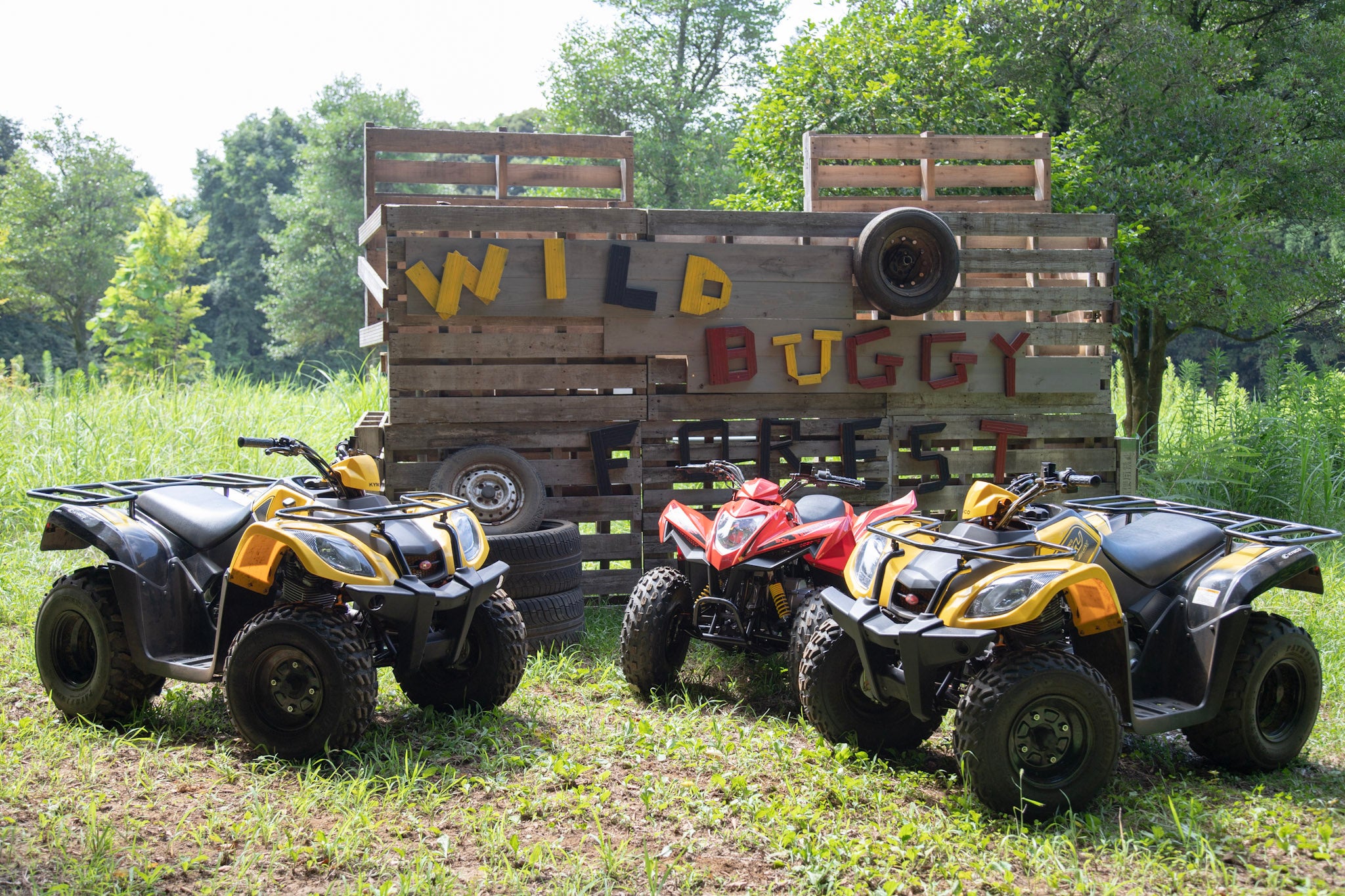 『WILD BUGGY FOREST』