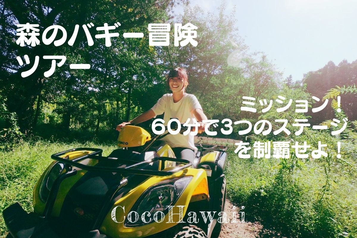 森のバギー冒険ツアー