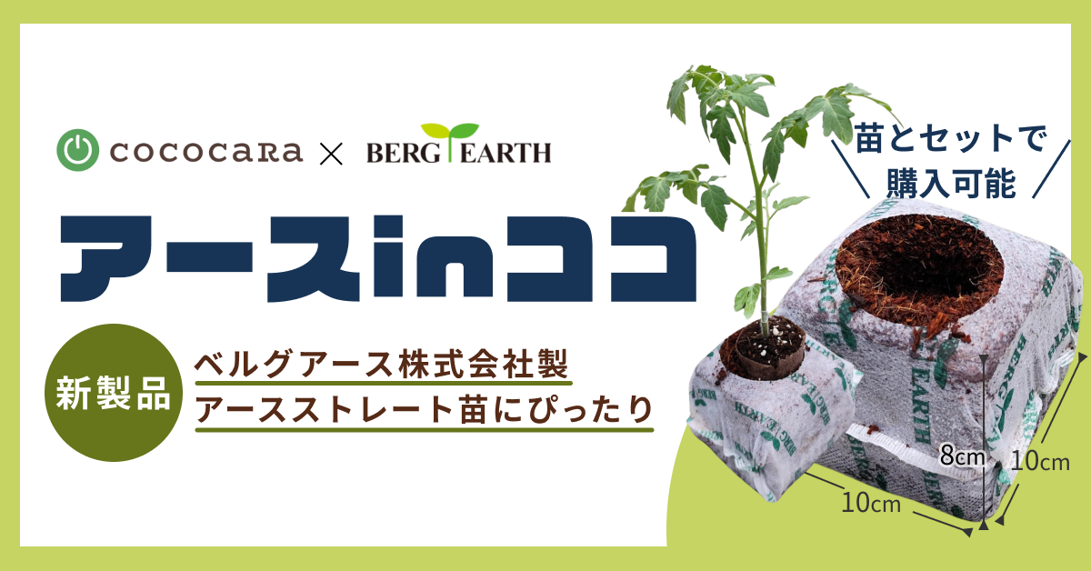 ココカラ合同会社とベルグアース株式会社が共同開発 アースストレート