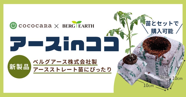 ココカラ合同会社とベルグアース株式会社が共同開発 アースストレート ココカラ合同会社とベルグアース株式会社が共同開発 アースストレート