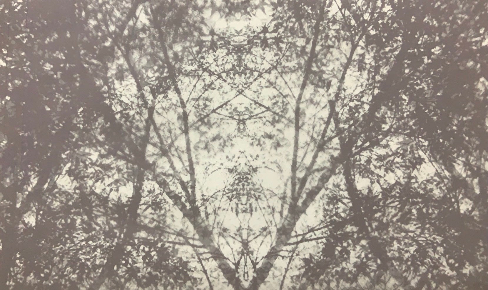 岡田美香『緑の万華鏡』