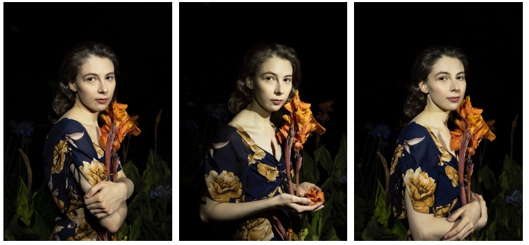 Canna #1.2.3 2021 archival pigment print