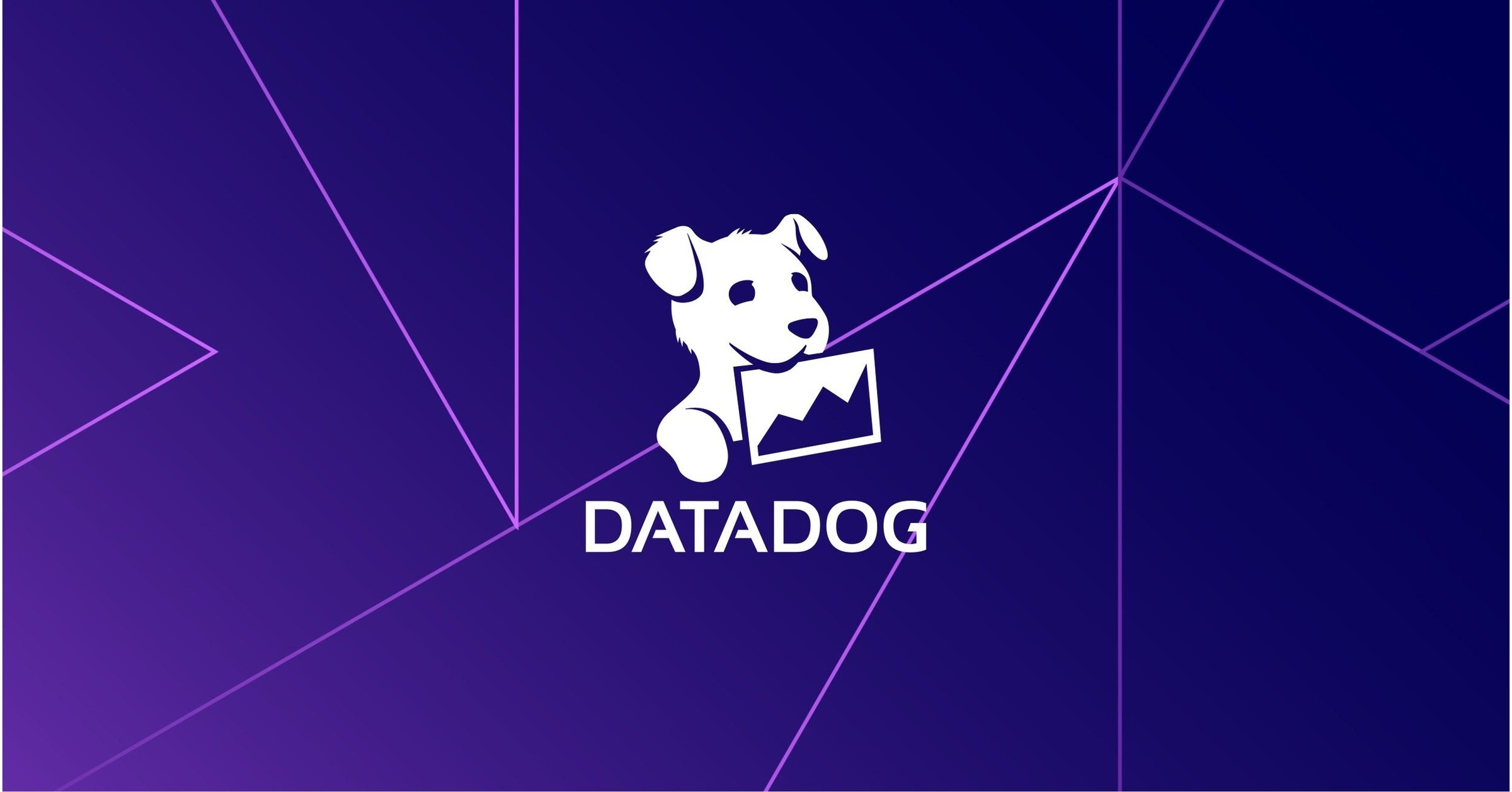 https://prcdn.freetls.fastly.net/release_image/77474/83/77474-83-f0254c2dc4f167517640021626ea4d2f-2500x1309.jpg?format=jpeg&auto=webp&fit=bounds&width=2400&height=1260