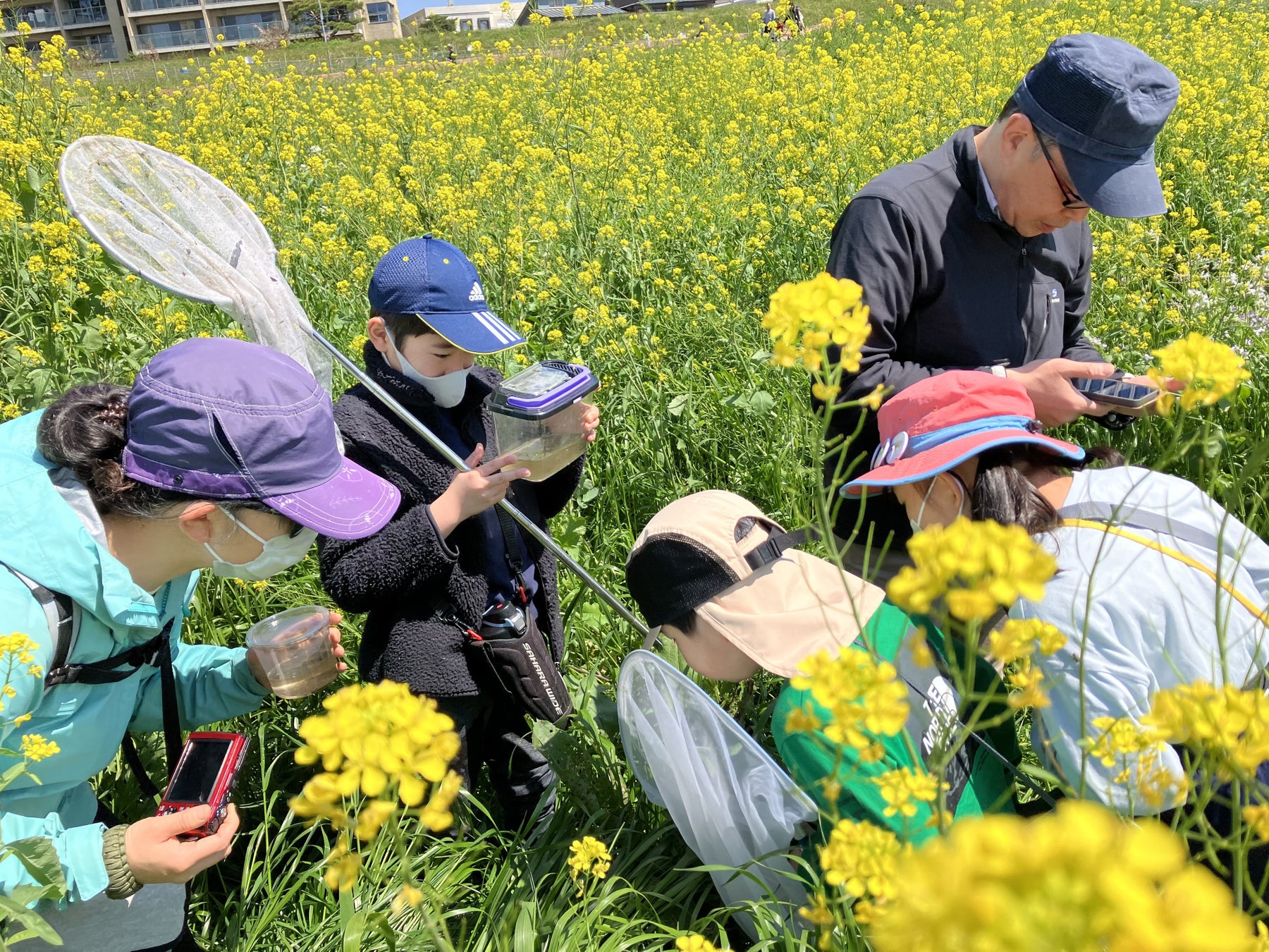 ファーブル昆虫教室in二子玉川【昆虫研究編】～専門家と冬の昆虫について研究しよう～