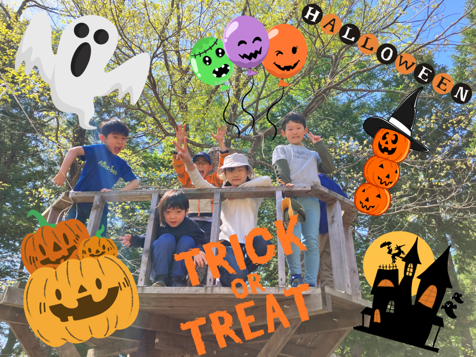 10/12出発】 ツリーイング＆芸術祭＆ハロウィンキャンプin白馬 | 株式