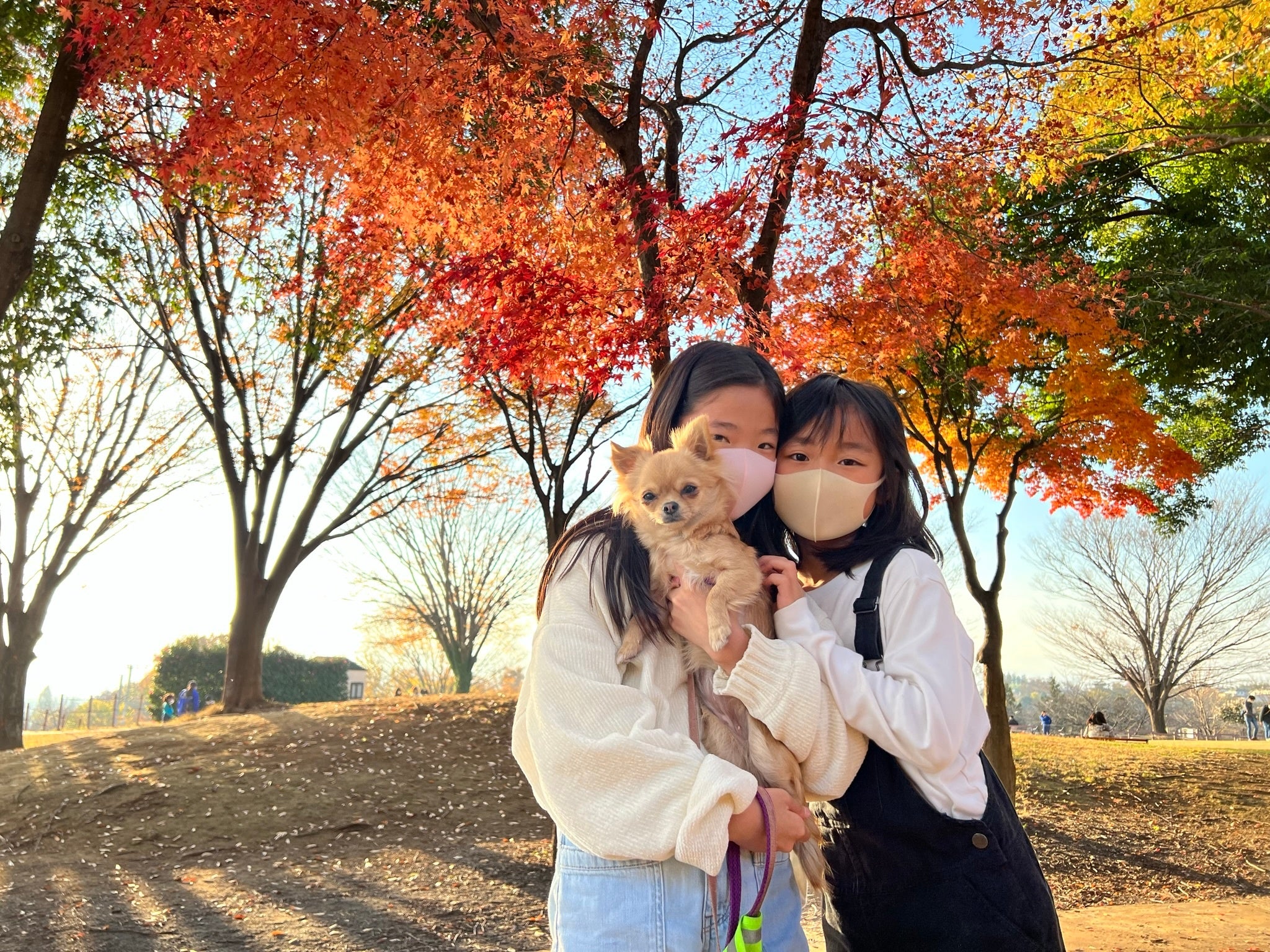 【11/23出発】 秋のスペシャル犬キャンプ