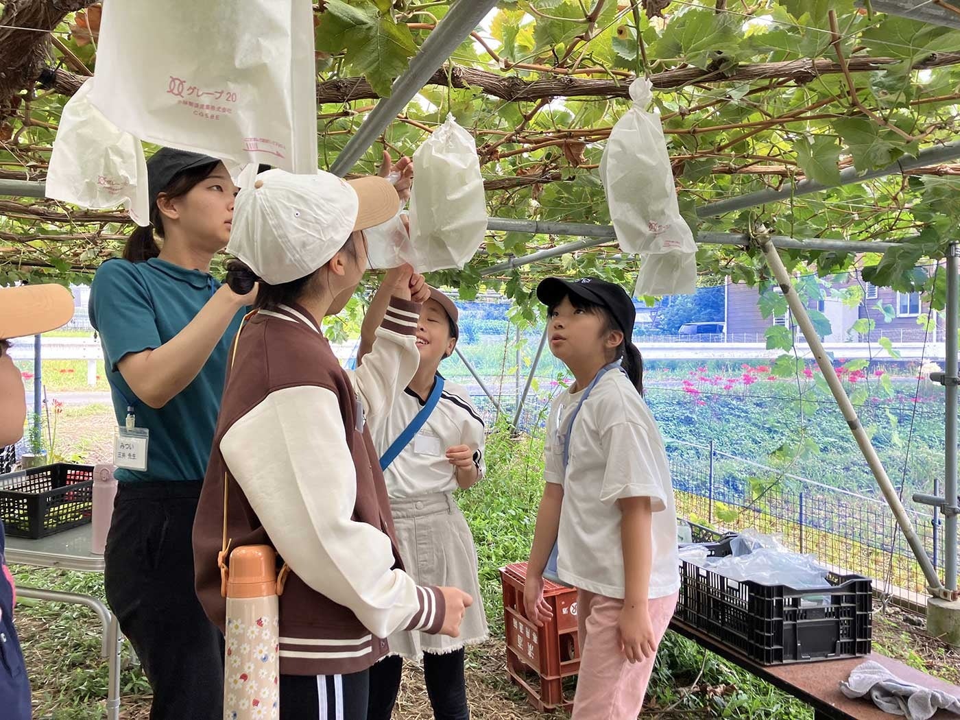 【東京ドームホテルのお正月】優雅なホテルで紡ぐ、心豊かなお正月。伝統芸能と豪華おせち料理、選べるディナーを満喫する年末年始宿泊プラン、2026年10月14日(水)より予約受付開始