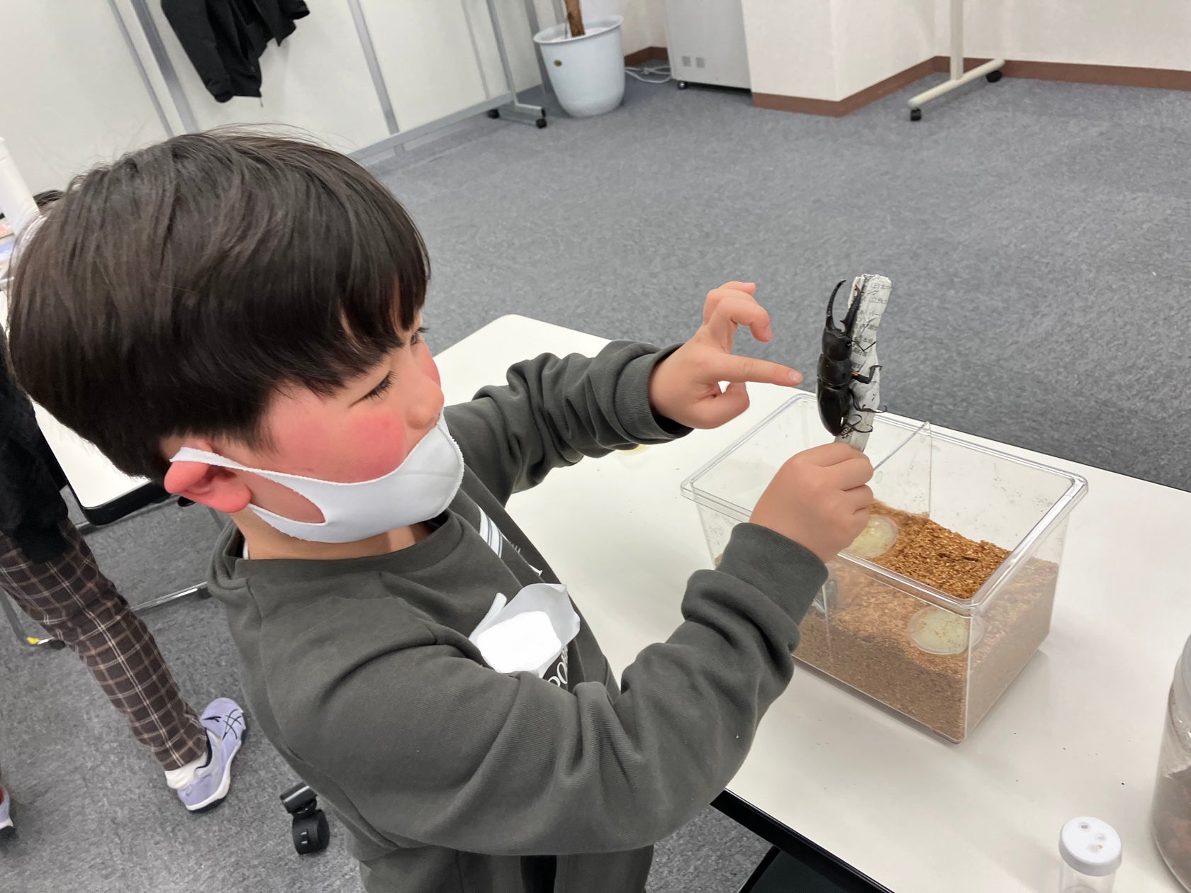 料理とスイーツ、副総料理長とペストリー副料理長が旬の味覚を彩るスイーツ&ランチブッフェ「匠の饗宴 Battle of Sous chef’s 収穫祭」10月14日より開催