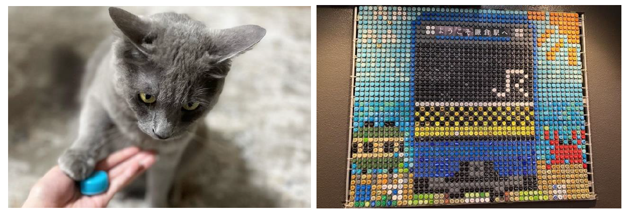 キャンペーンに投稿された様々な写真