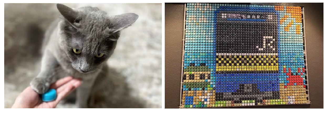 キャンペーンに投稿された様々な写真